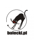 bolecki.pl